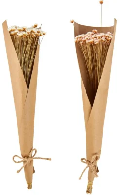 ACTINO Flores Secas Rosa