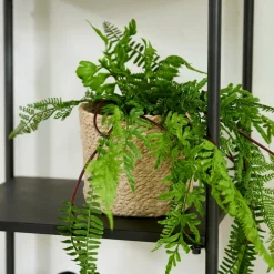 ATLANTIC Vaso Natural