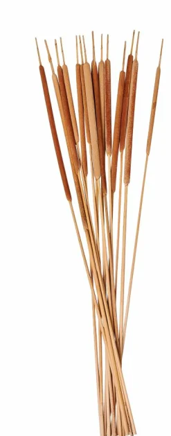 BAMBOO Cómoda 2 Gavetas Natural