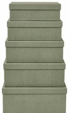 BIGSO Organizador Gaveta 5 Compartimento Menta