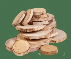 BIRCH Bétula Decorativa 15 Unidades Natural