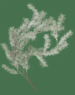 CEDER Ramo Decorativo Verde