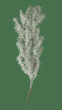 CEDER Ramo Decorativo Verde