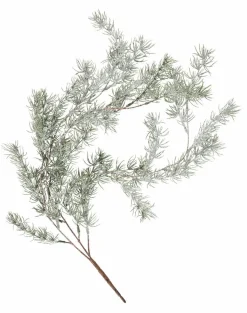 CEDER Ramo Decorativo Verde