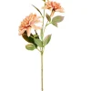 DAHLIA Ramo Com Flores Rosa Pêssego