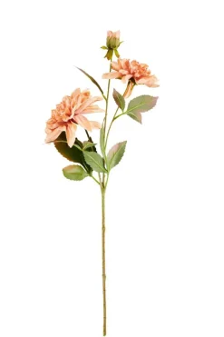 DAHLIA Ramo Com Flores Rosa Pêssego