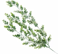 DANDIL Caule Cor-de-laranja