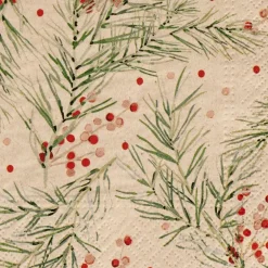 ECO HOLLY Guardanapos Conjunto De 20 Multicolor