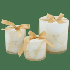 ESCAPE SENSES Vela Perfumada Em Copo Multicolor