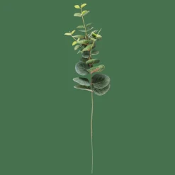 EUCALYPTUS Ramo Artificial Verde