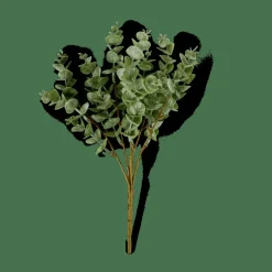 EUCALYPTUS Ramo De Eucalipto Verde