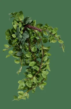 FITTONIA Grinalda De Folhas Verde