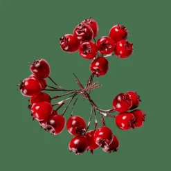 FOAM Frutos De Roseira Decorativos Vermelho