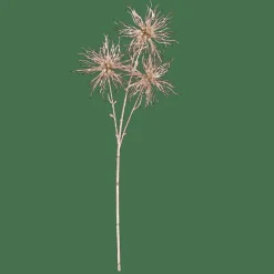 GOLDY Cardo Dourado Champagne