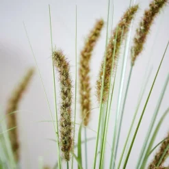 GRASS Cana Artificial Verde