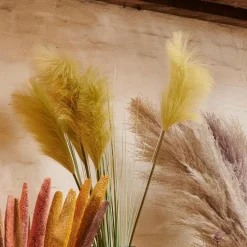 GRASS Feixe De Relva Vermelho