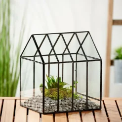 GREENHOUSE Mini Estufa Transparente