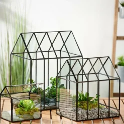 GREENHOUSE Mini Estufa Transparente