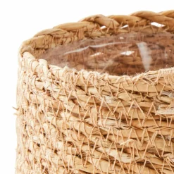 HERBA Relva Em Vaso Verde