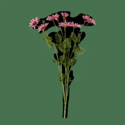 INDI Crisântemo Roxo