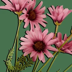 INDI Crisântemo Roxo