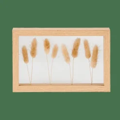 LAGURUS Decoração De Parede Natural