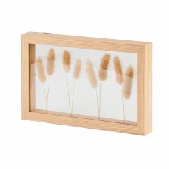 LAGURUS Lagurus Natural