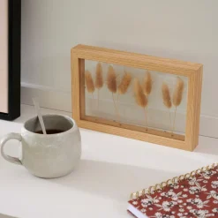 LAGURUS Lagurus Natural