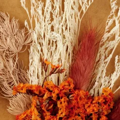 MIA Deco Seca Cor-de-laranja