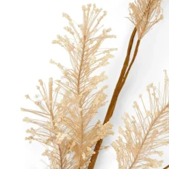 PAMPA Relva Pampa Branco