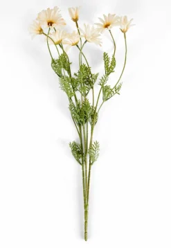 PAMPLONA Jarra Creme