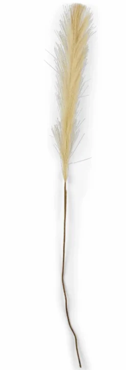 PLUME Plumas Decorativas Castanho Claro