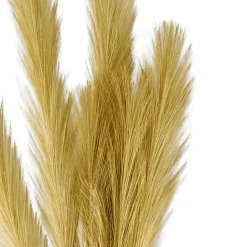 PLUME Plumas Decorativas Castanho Claro