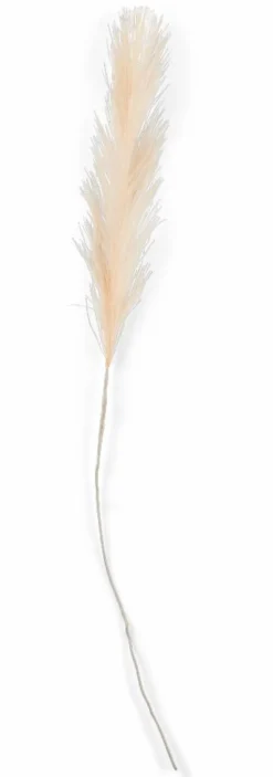 PLUME Plumas Decorativas Castanho Claro