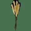 PLUME Plumas Decorativas Verde