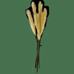 PLUME Plumas Decorativas Verde