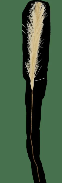 PLUME Plumas Decorativas Verde