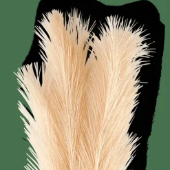 PLUME Plumas Decorativas Creme