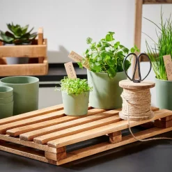 RECYCLE Base Para Pote Natural