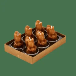 SQUIRREL Velas Para Lamparina Conjunto De 6 Castanho