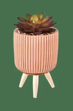 STRIPE Crássula Artificial Em Pote Multicolor