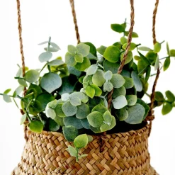 TERRA Planta Em Vaso Branco, Verde