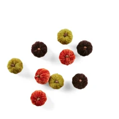 VELVET Abóboras Decorativas Conjunto De 9 Multicolor