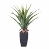 VERA Vetplant Op Stick Verde