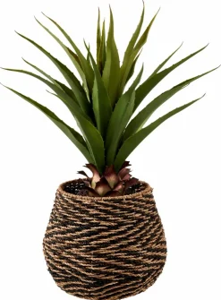 VERA Vetplant Op Stick Verde