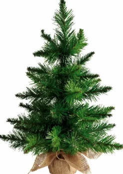 X-MAS Conjunto Cupcake 48 Peças Multicolor